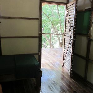 Single Bed Dormitory Room